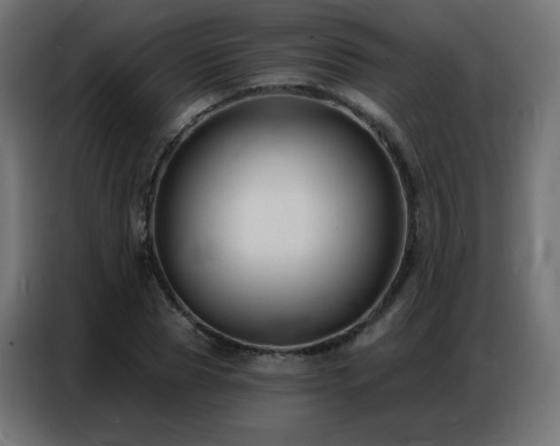 X0000086930929200704161421