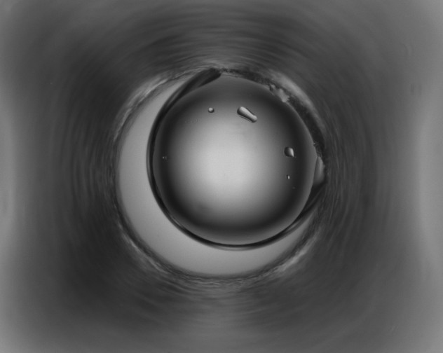X0000086930930200704161421