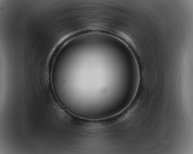 X0000086930931200704161421