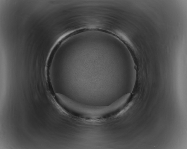 X0000086930932200704161421