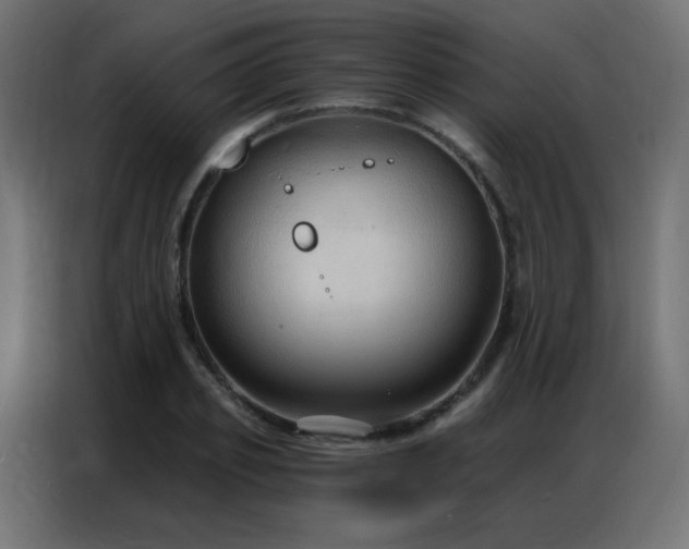 X0000086930933200704161421