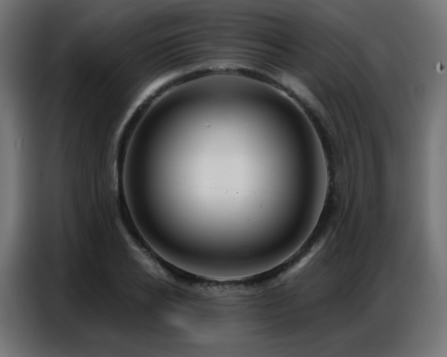 X0000086930934200704161421
