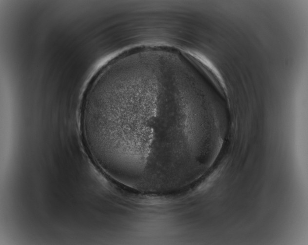 X0000086930935200704161421
