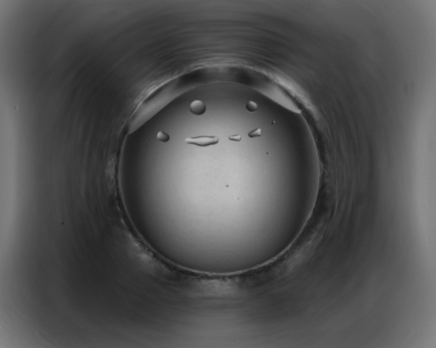 X0000086930937200704161421