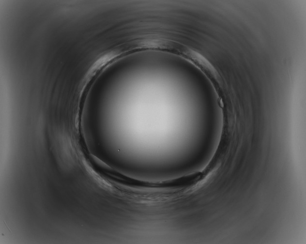 X0000086930938200704161421