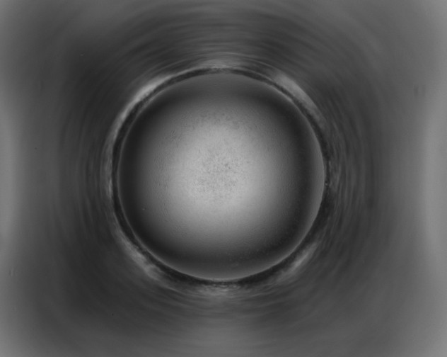 X0000086930939200704161421