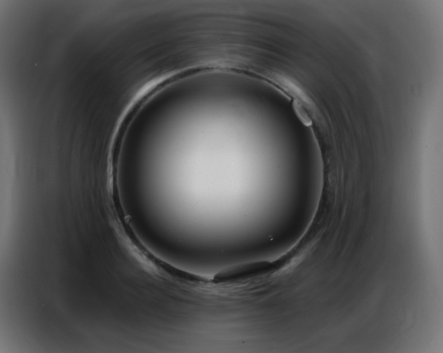 X0000086930940200704161421