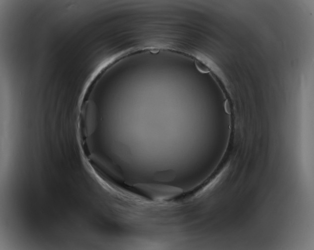 X0000086930941200704161421