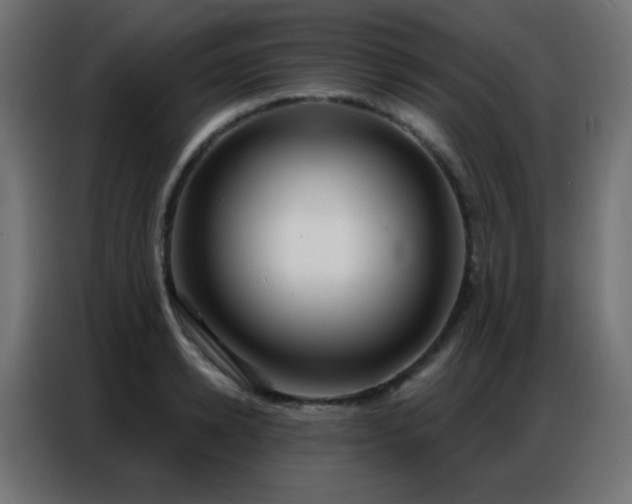 X0000086930942200704161421