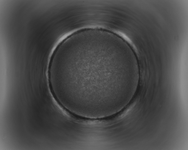 X0000086930943200704161421