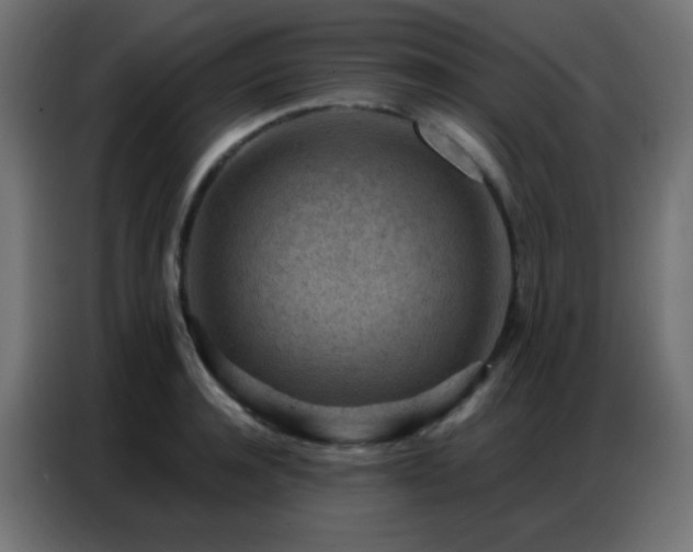 X0000086930944200704161421