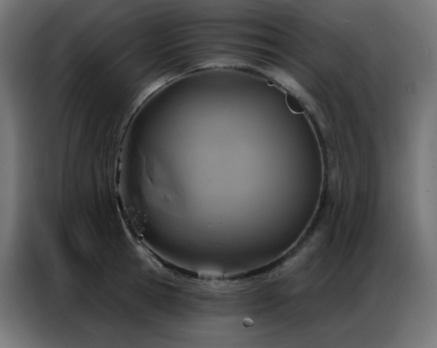 X0000086930945200704161421