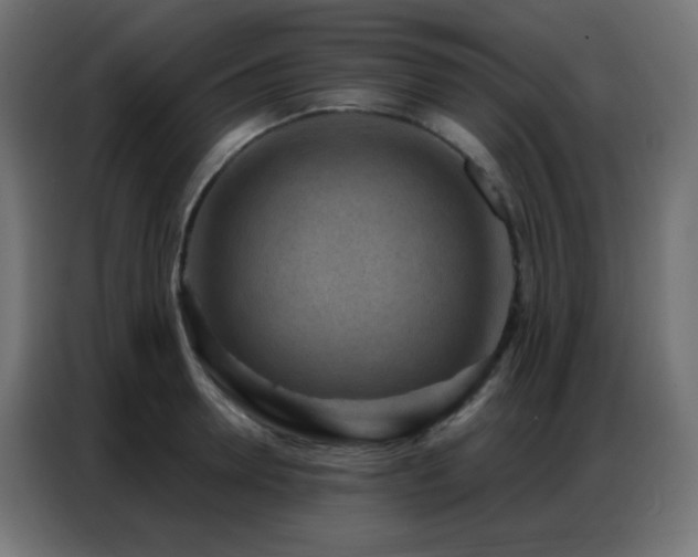 X0000086930946200704161421