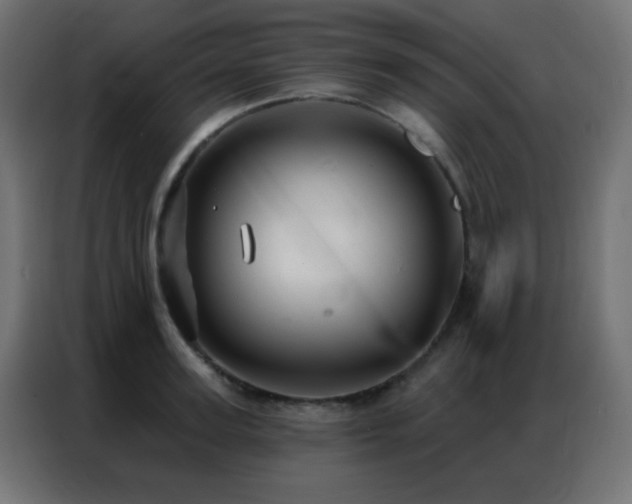 X0000086930947200704161421