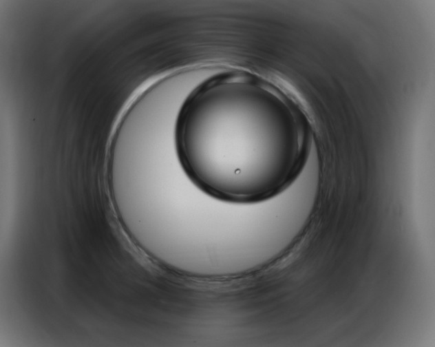 X0000086930948200704161421