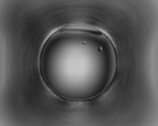 X0000086930949200704161421