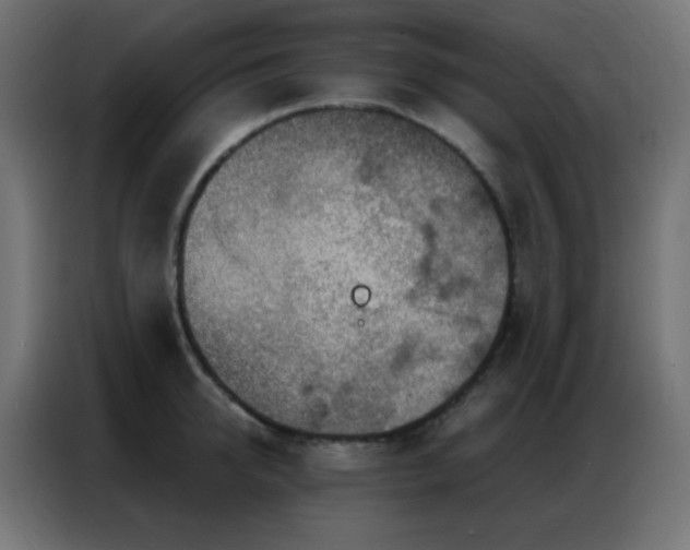 X0000086930950200704161421