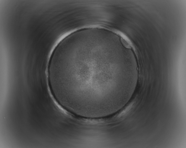 X0000086930951200704161421
