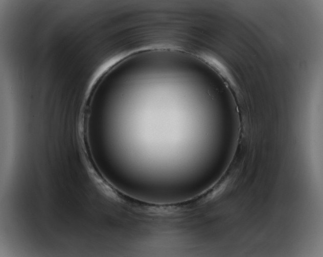 X0000086930952200704161421