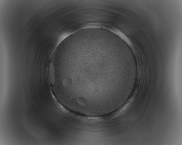 X0000086930953200704161421