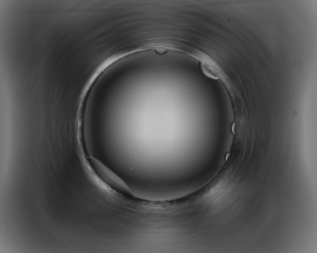 X0000086930955200704161421