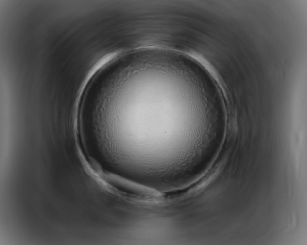 X0000086930957200704161421