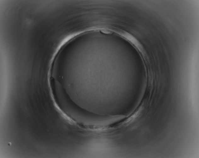 X0000086930958200704161421