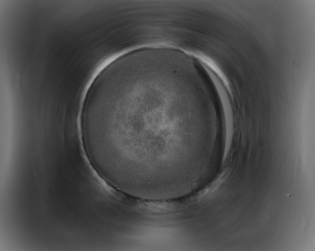 X0000086930959200704161421
