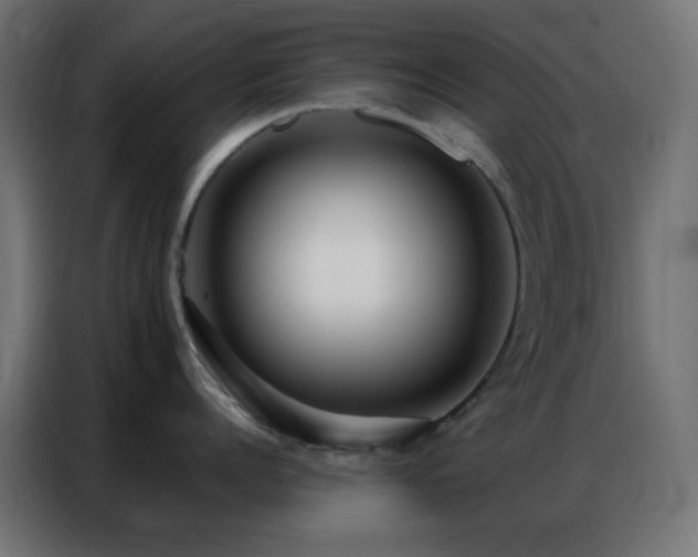 X0000086930960200704161421
