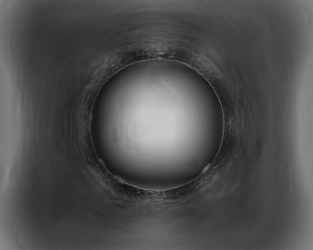 X0000086930961200704161421