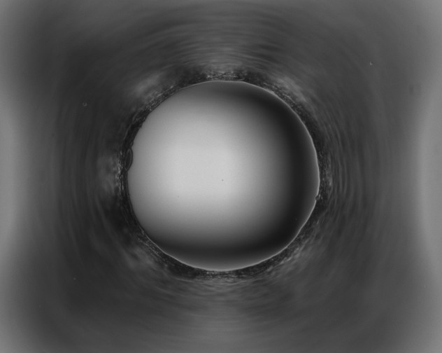 X0000086930964200704161421