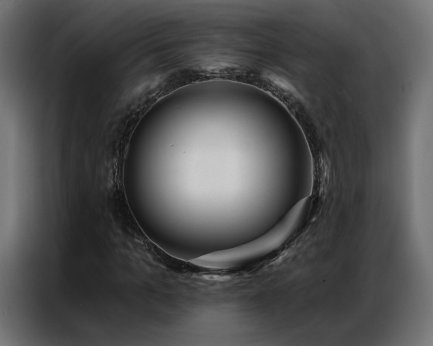 X0000086930965200704161421