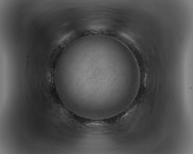 X0000086930966200704161421