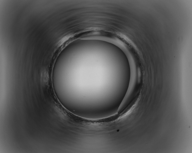 X0000086930969200704161421