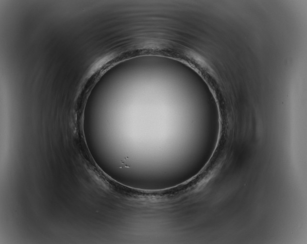 X0000086930970200704161421