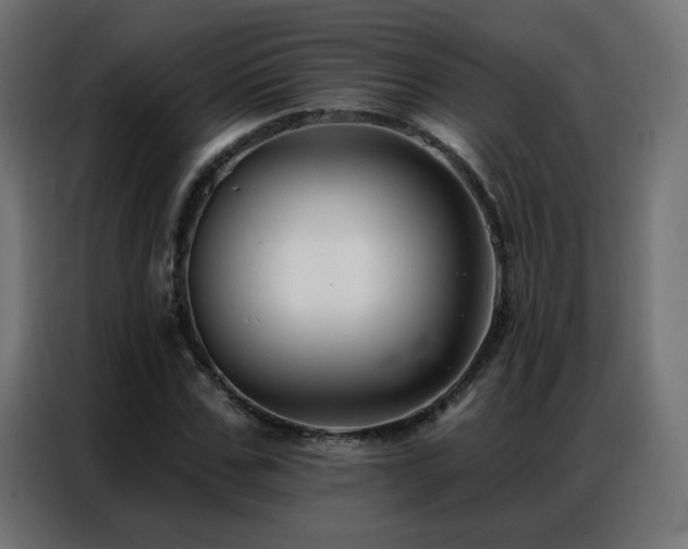 X0000086930971200704161421