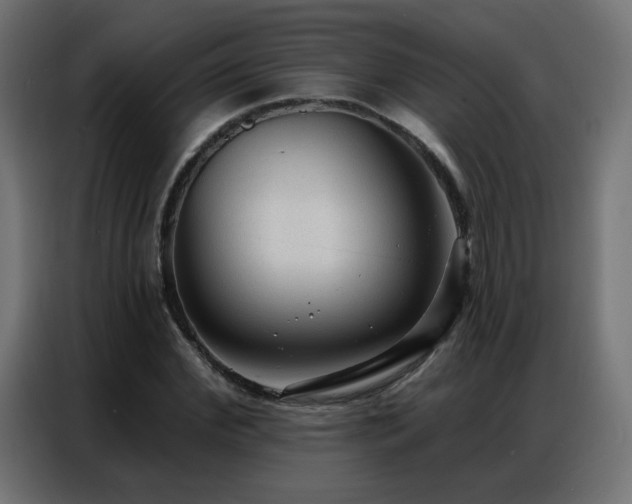 X0000086930972200704161421
