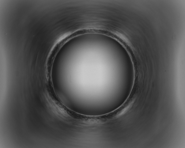 X0000086930974200704161420