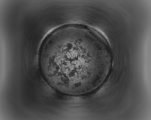 X0000086930975200704161420