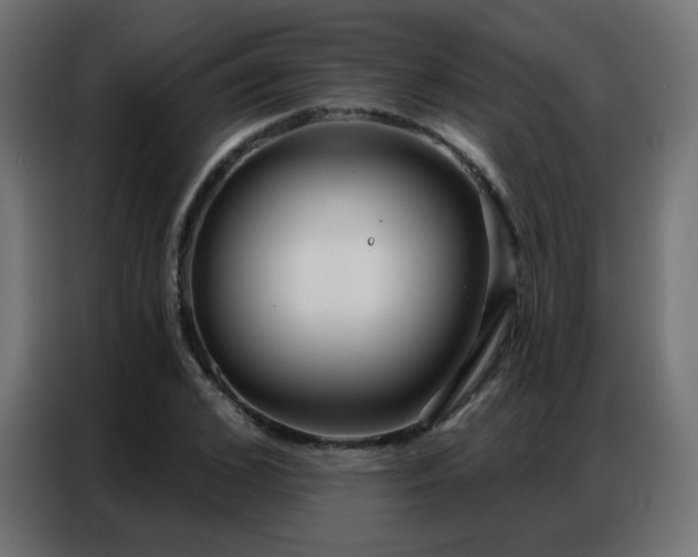 X0000086930976200704161420