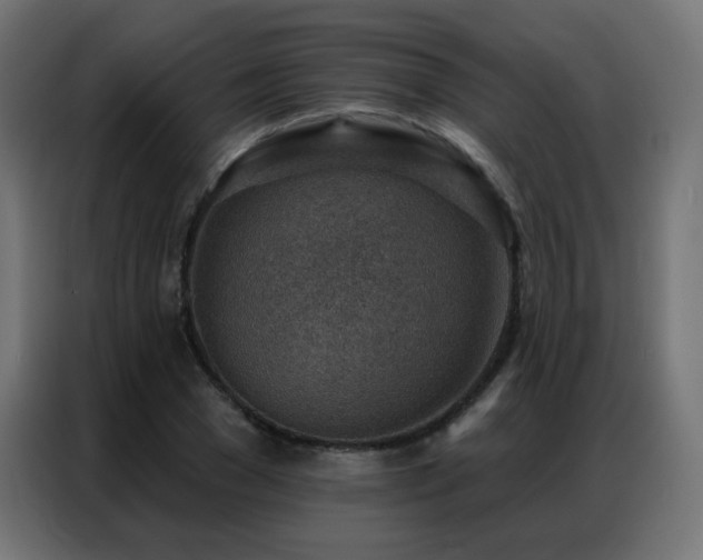 X0000086930977200704161420