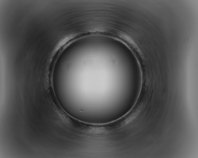 X0000086930978200704161420