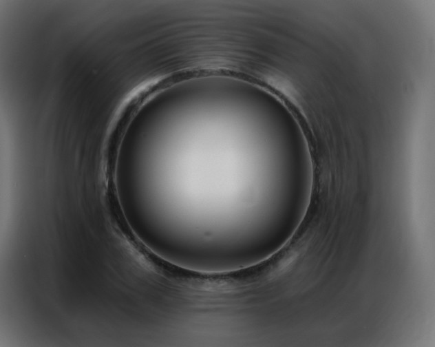 X0000086930979200704161420