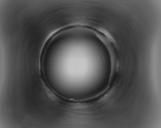 X0000086930980200704161420
