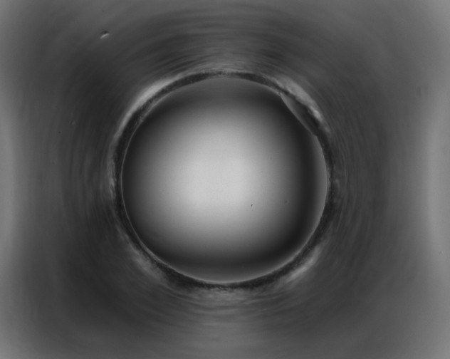 X0000086930981200704161420