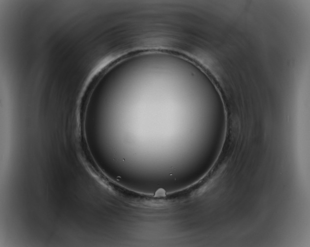 X0000086930982200704161420