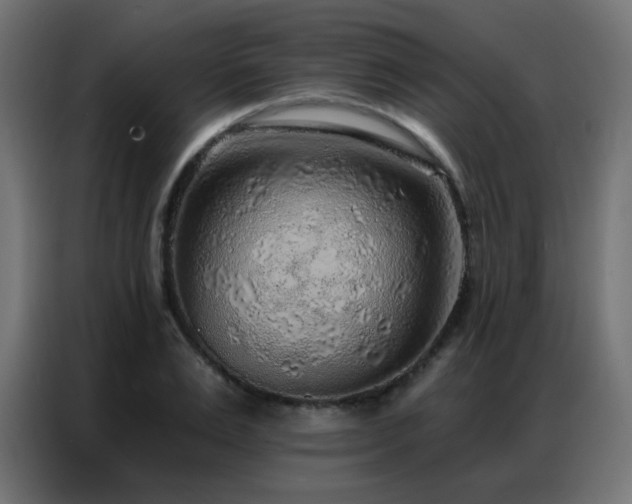 X0000086930983200704161420