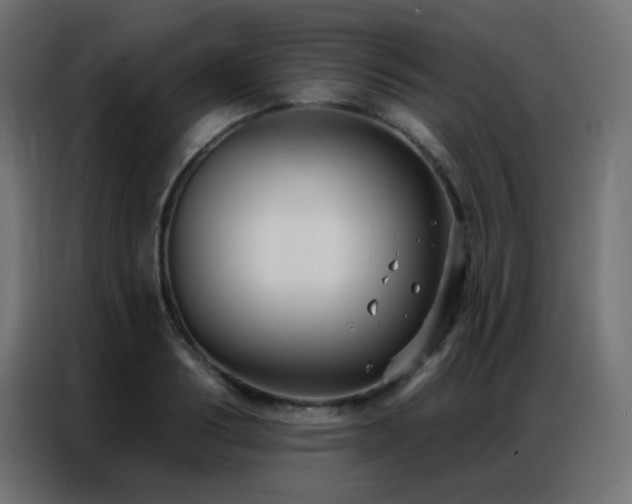 X0000086930986200704161420