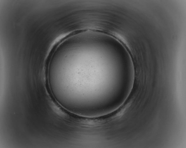 X0000086930987200704161420