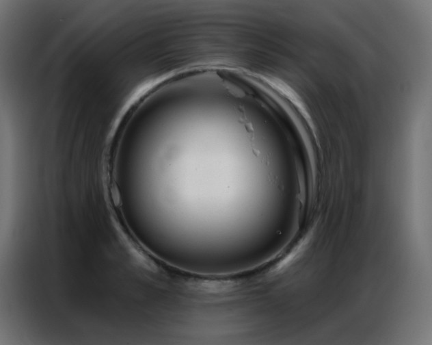 X0000086930989200704161420